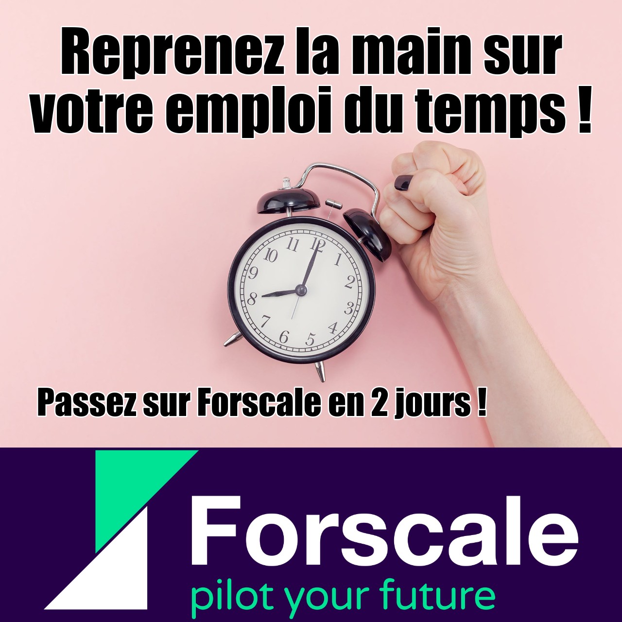 Capture d'écran complémentaire — Les Fondamentaux de la valeur Forscale